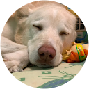 sara macolino profile picture